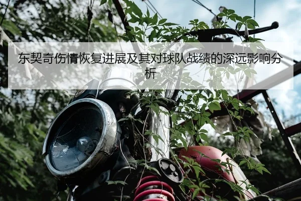 东契奇伤情恢复进展及其对球队战绩的深远影响分析（BOGOUSPORTS）